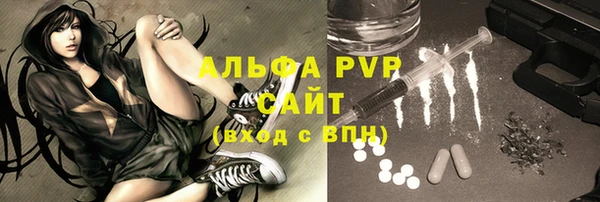 apvp Горняк